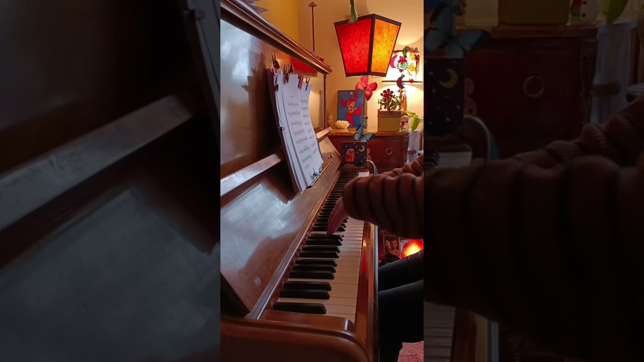 G.A Brescianello Aria de la Partita no 17 pour colachon 🧚