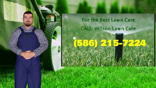 Wilson Lawn