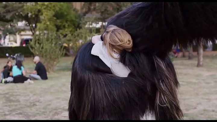 Hug at the Park  Toni Erdmann (Maren Ade, 2016)