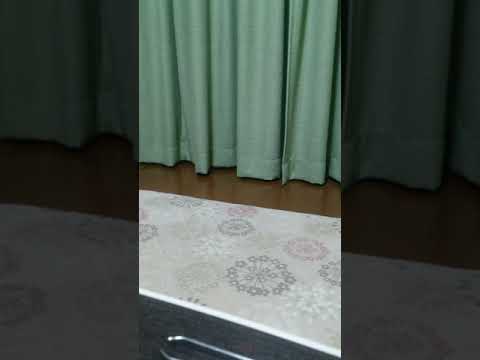 南国育ち ライバルに差をつける期待値