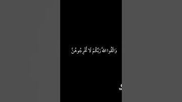 سورة الطلاق من اية ١ الي اية ٢ بصوت ماهر المعيقلي