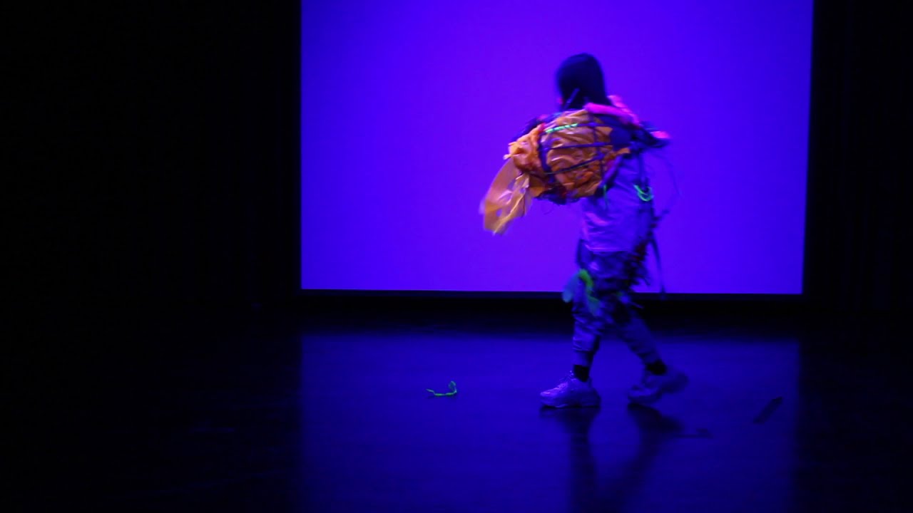 Metamorphosis - my performance art project