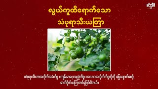 အညံ့တွေကို အကောင်းဘက်သို့ ပြန်လှည့်စေတဲ့ ယတြာ screenshot 2
