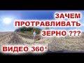 ПРОТРАВКА ОЗИМЫХ ЗЕРНОВЫХ - НУЖНО ИЛИ НЕТ ??? видео 360 градусов протравитель семян