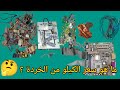 ماهو سعر كيلو واحد من الخردة الإلكترونية