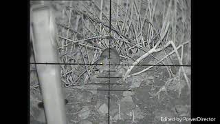 Ratting With Snipercam