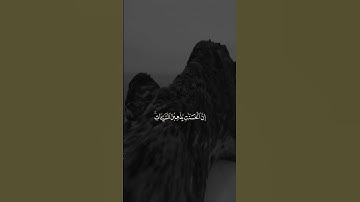 سورة هود بصوت ياسر الدوسري 😌🎧