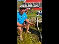 This is one easy way to fix your string algae problem in your pond!  #shorts