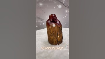 Tượng Phật Di Lực gỗ hương ta, đúng chất gỗ hương vùng Tây Nguyên Tuy Đức, Đắk Nông 🇻🇳 #tuongdilac