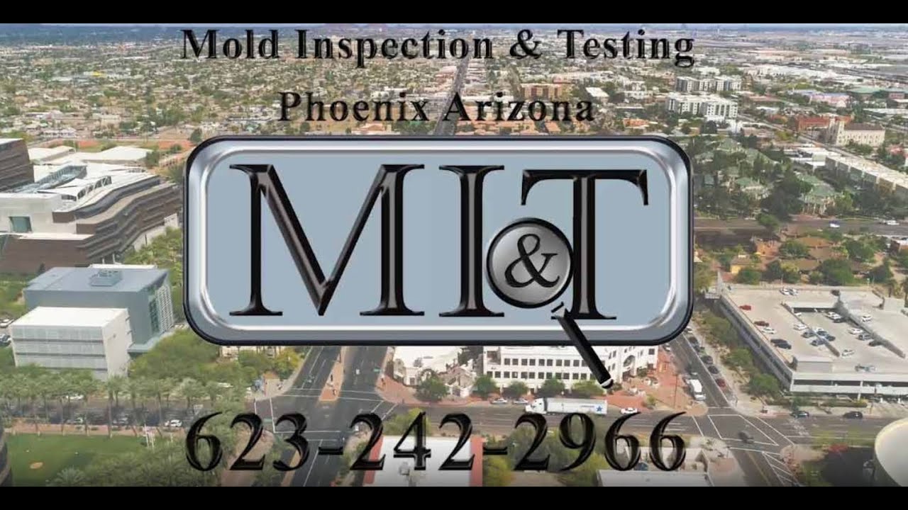 Mold Inspection & Testing Phoenix