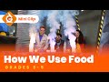 Understanding Food Energy