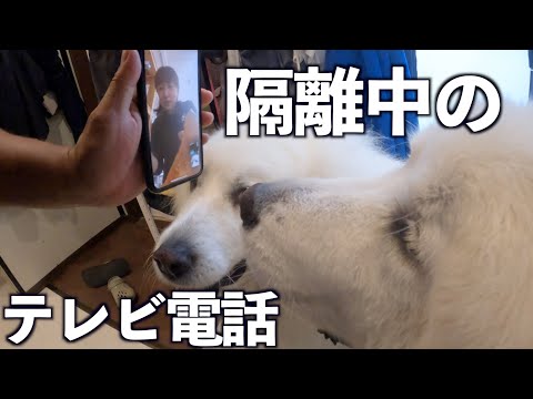 隔離中につきテレビ電話でスタッフと連絡です