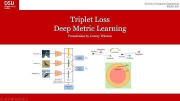 Introduction to Triplet Loss and Circle loss