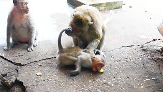 Chamon monkey bite his daughter Monika, Monika try hard to remove out from Chamon