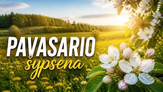 Laiškas Nuo Pavasario Gražiausios Eilės Ir Muzika