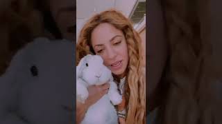 Shakira y su conejito 🐇 | Shakira Record