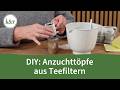 DIY: Anzuchttöpfe selber machen aus Teefiltern
