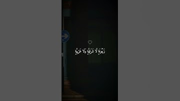 اكتب شيء تؤجر عليه ❤😴/ القارئ ماهر المعيقلي