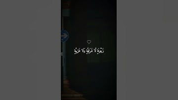 اكتب شيء تؤجر عليه ❤😴/ القارئ ماهر المعيقلي