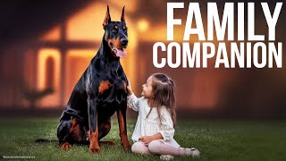 ⭐️The secrets of the Doberman breed