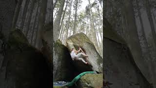 Famous Between the trees [7b+/7b] Bouldering Pfalz finsterbrunnertal. Profile