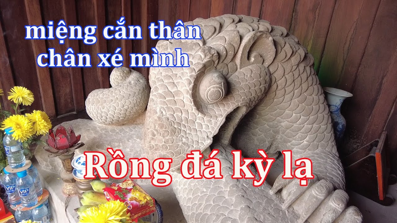 Tượng Rồng đá kỳ lạ ở đền thờ Thái sư Lê Văn Thịnh.