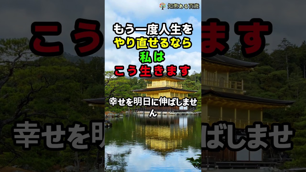 もう一度人生をやり直せるなら私はこう生きます #人生の教え #幸せ #心に響く言葉 #大人の知恵 #シニアライフ #shorts #人間関係