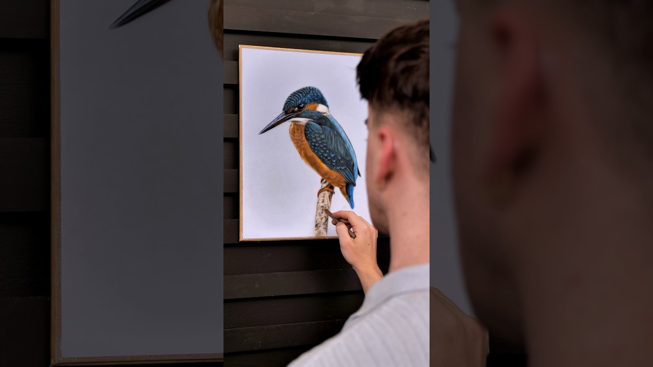 Kingfisher Drawing - Soft pastels & Pastel Pencils