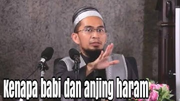 Kenapa babi dan anjing itu haram.ini jawaban ust.adi hidayat