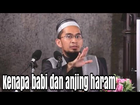 Video: Mengapa najis haram?