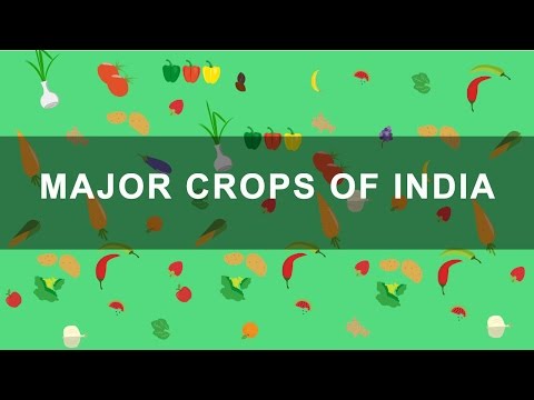 Major Crops Of India - Rabi, Kharif, Zaid Crops | Indian Agriculture, Geography