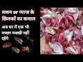 मच्छर मक्खियों से बचने का घरेलू नुस्ख! अब घर के आस-पास भी नहीं आएंगे मच्छर मक्खी या किडे-मकोडे