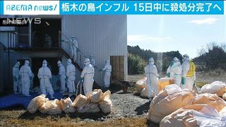 栃木で鳥インフル　福田知事「殺処分あす中に完了」(2021年3月14日)