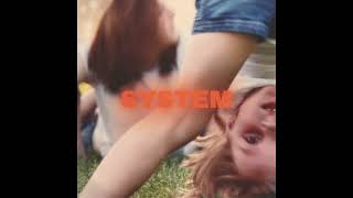 Prewn - System