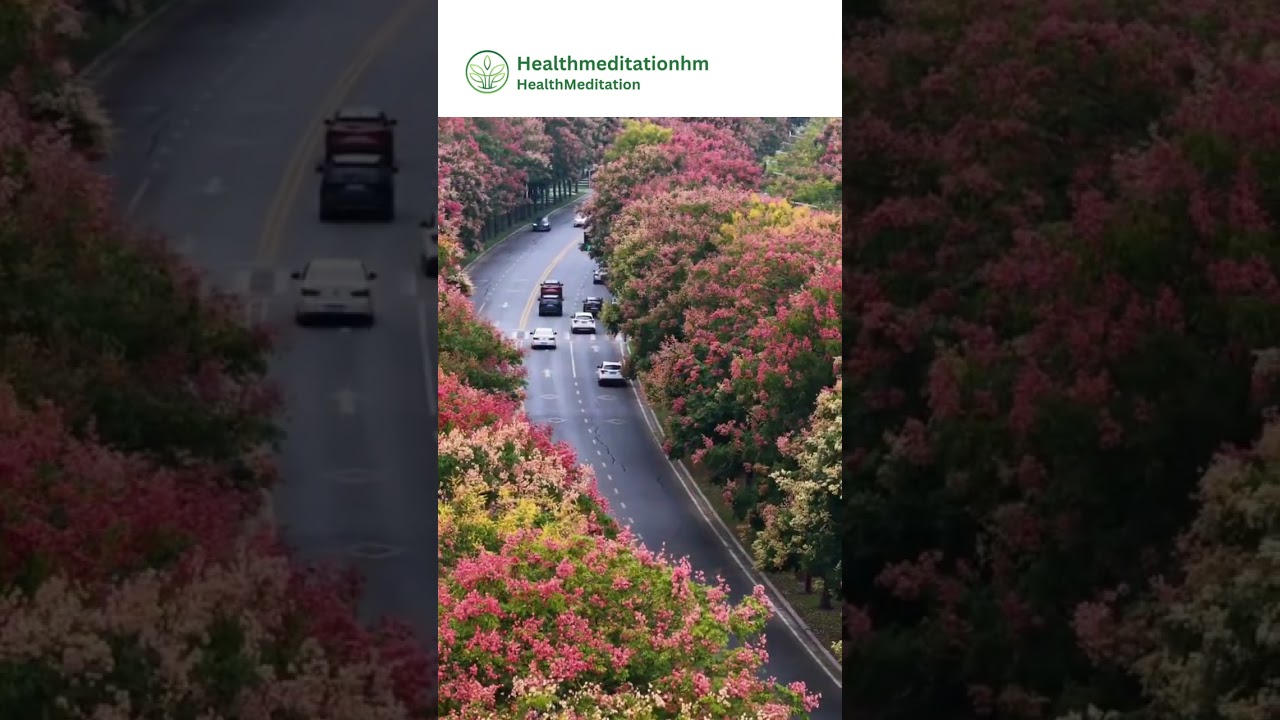 The gentle colors of nature create a sense of calm and balance. 🌸🌳