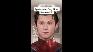 Asmr Spider-Man Dog Ticks Removal Spider Man Cartoon Asmr Animation