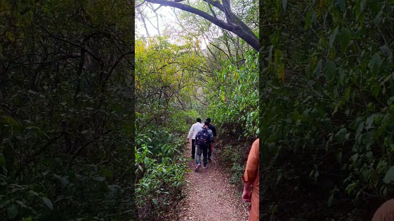 #margallahills#foryou #hiking #trail4#shortvideo #nature