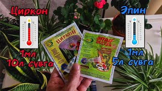 Циркон Ва Эпин Фарки Нимада? Гуллар Учун Жуда Фойдали Ва Арзон Эпин Ва Циркон. Эпин -- Циркон.