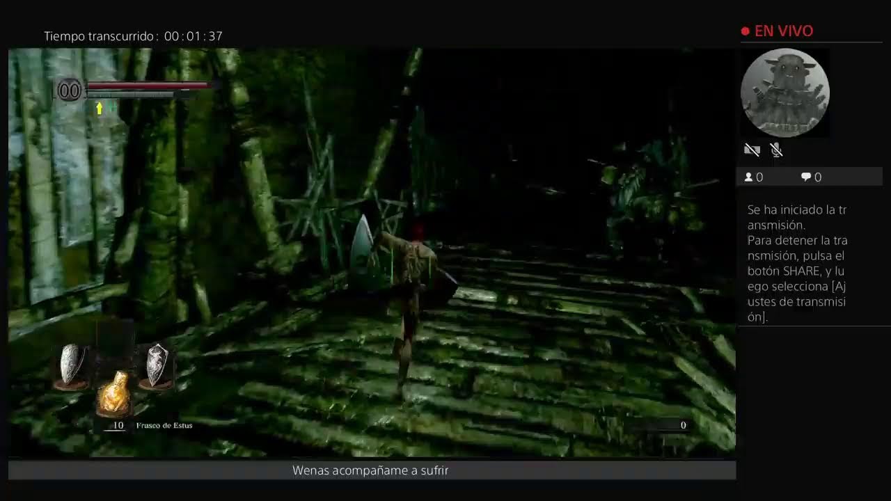 DSR entrenando memoria cinética