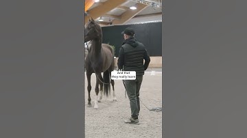 How to handle unexpected moments with your horse