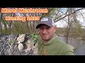 Morel Mushroom Hunting Spring 2020