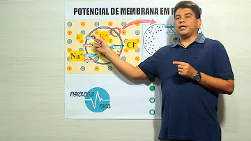 Como é mantido o potencial de membrana em repouso?