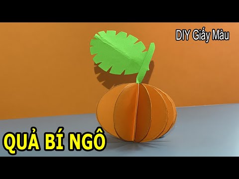 Видео: HƯỚNG DẪN LÀM QUẢ BÍ NGÔ BẰNG GIẤY A4 - INSTRUCTIONS FOR MAKING PAPER A PUMPKIN - DIY GIẤY MÀU