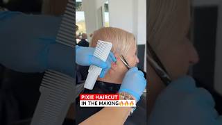 Pixie Haircut in the Making: Complete Tutorial Linked Below! 🔥🔥🔥
