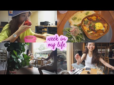 A Week in My Life at Monash University Malaysia | evxnhxre