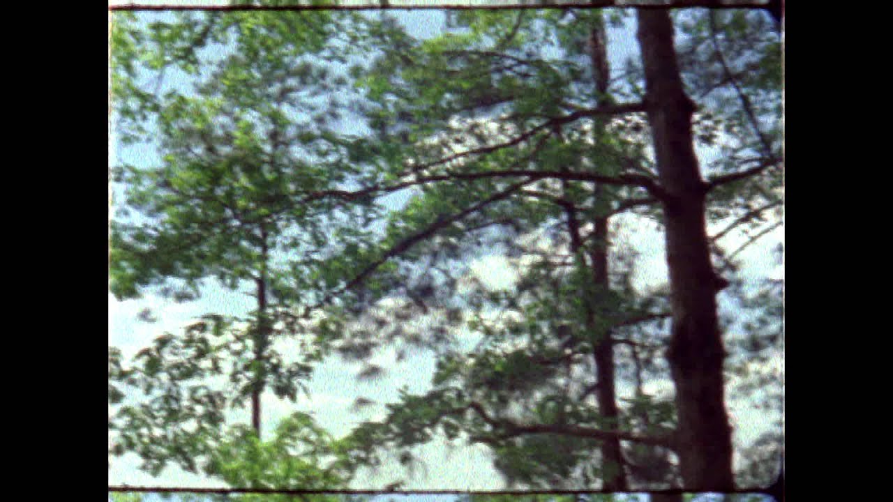 Sydney Eloise & The Palms - Always Sailing