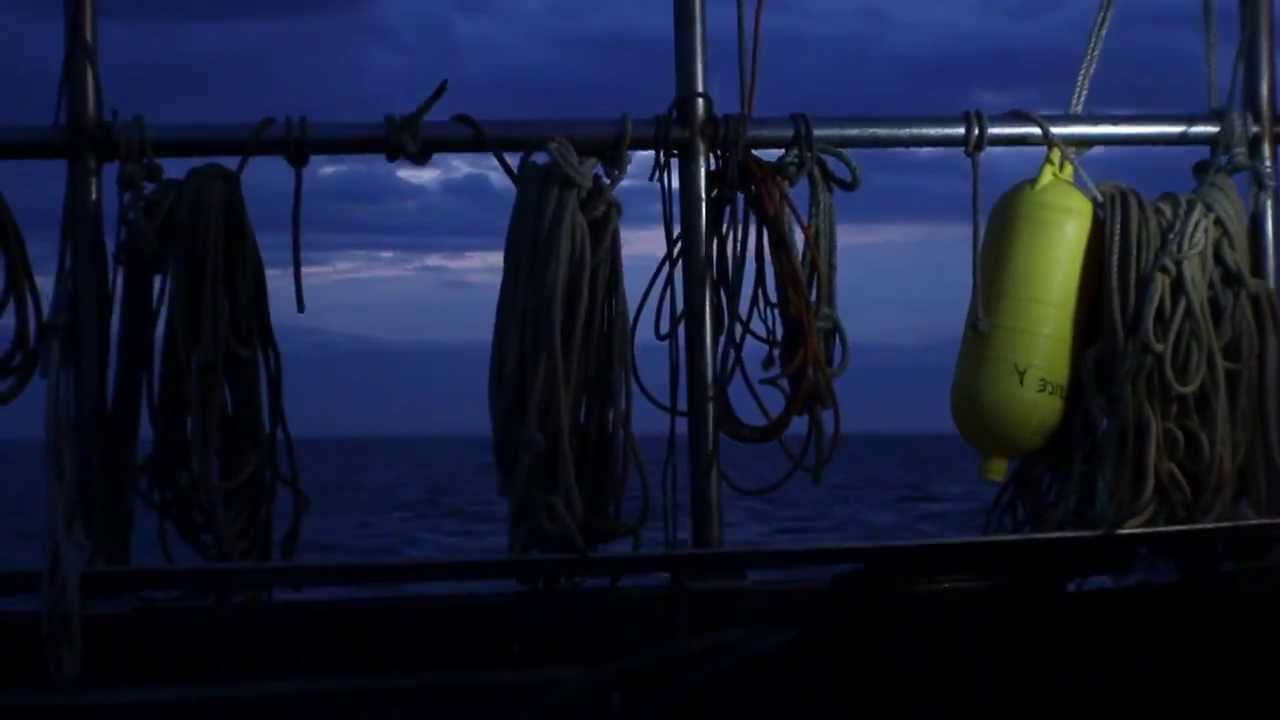 Lobster Fishing Spanish YouTube