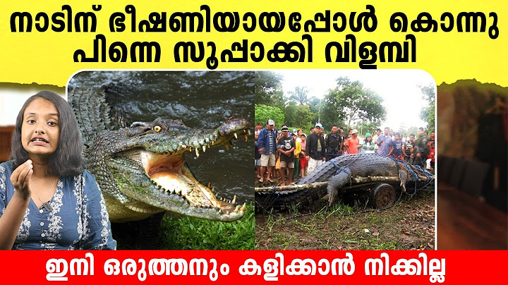 ഈ നാട്ടുകാരോട് ഒരുത്തനും കളിക്കില്ല, കളിച്ചാൽ പണി പാളും  | Salt water crocodile in Australia