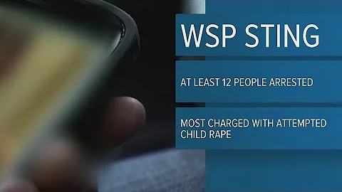 WSP child sex sting leads to 13 arrests