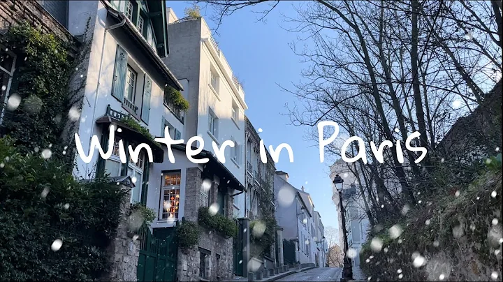 VLOG Winter in Paris / Macarons, Strolling around Montmartre, Drawing Class